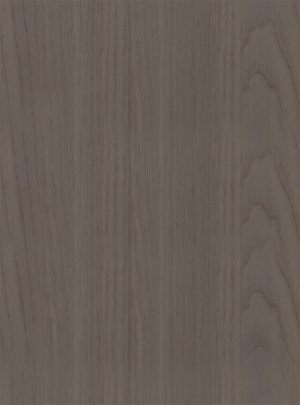 /product/p1/2024-07-31/144.html
